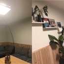 엘지동해서비스 이미지