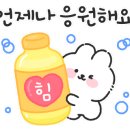 에코 호리 태권도 이미지