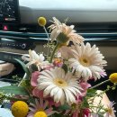 제주제이스타 | [공지] 제주 웨딩 촬영 후기, 제주 웨딩스냅 , 제주 스튜디오 추천 [제주 숨결 스튜디오] [지나앤제이...