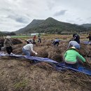 금산군청 이미지