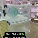 달빛 햄스터리 서울점 이미지