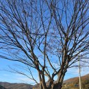 성북1리 마을회관 이미지