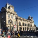 [포르투갈 3박4일 (3)] 포르투 에그타르트 + (porto) 플리마켓 + 릴루 서점 Livraria Lello 후기