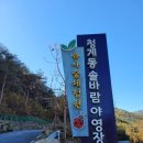 청계동솔바람야영장 이미지