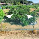 키다리부동산공인중개사무소 이미지