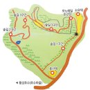 노아의숲 이미지