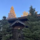 당나귀호스텔 이미지