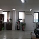 공감 행정사사무소 이미지