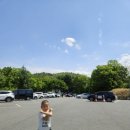 봉무 | 아이들과 함께 다녀온 봉무나비생태원 후기