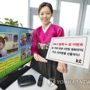 도리1천 이미지