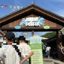 [용인/포곡] 에버랜드 ‘워터 버스터’ 스플래쉬 슬라이드, 레일 슬라이드 후기 in 알파인 빌리지 위치