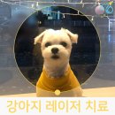 아이봄동물병원 이미지