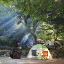 용문산관광지(야영장) 이미지