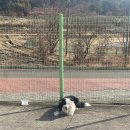 A.C Speedway 서킷 주행기(26년 1월 18일/전문가의 세팅기 포함) 이미지