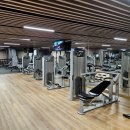 플라밍고 | 베트남 하노이, 사파, 깟바 여행 11일차 - 플라밍고 리조트 숙박 후기