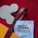 (주)디벨로바이오 | LK몰 단삼유산균 지대로장 견디셔유로 면역력챙기기