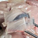 명성상회 | 노량진 대방어 맛집 목포상회｜겨울 제철 방어삼선회 포장 후기, 노량진 수산시장 가성비 횟집