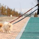 경기장묘산업 올치올치