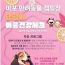 우리집 댕댕이 이미지