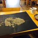 커피꽃향기 이미지