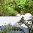 수락산 산행에서 만난 학림사의 아름다운 봄 풍경 함께 합니다.(4/24). 이미지
