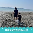 아이트리윅스(주) | 아이랑 대부도갈만한곳 실내 실외 Best5 추천 갯벌체험 가능한 트리캠핑장 여행코스