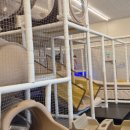 모넬로울산일산해수욕장점 이미지