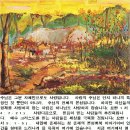 보화 이미지