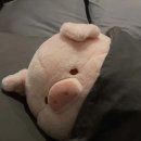 아임파인 이미지