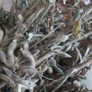 태인농장2 이미지