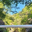 육백산 사슴농장 이미지