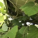 정도기업 태양광발전소 이미지