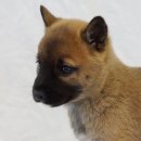 말랑말랑 이미지