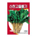 씨앗 - 남양주시 덕소로116번길 11 | 씨앗