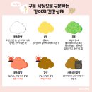 언니네 강아지 이미지