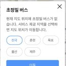 카카오맵 새로 생긴 초정밀 버스 기능 이미지