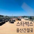 간절곶 | 스타벅스 울산간절곶DT점 후기, 영업시간 무료 주차장