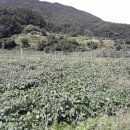 장연면사무소 이미지