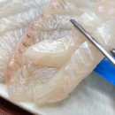 삼일수산활어회