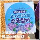 지원어린이집 | 부천공원 오정대공원┃수국 꽃심기 행사 블루수국쏘일