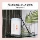 청소용물티슈 새니츠 클린톡 세정티슈 반짝반짝 빛나