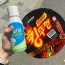 5콩