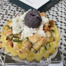 펫리셔스(petlicious) 네이버블로그