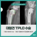 동아엑스레이(X-RAY)메디컬 | 십자인대 파열로 걷기 힘들었던 &#39; 골든 리트리버 대형견 강아지 &#39; , 위드힐에서 TPLO 수술 후 다시 뛰게...