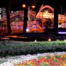 보강천 미루나무숲 이미지