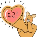 라인바이올린교습소 이미지
