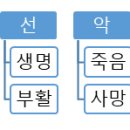 24. 선악과를 통한 생명과 죽음＜창2;15-17＞ 성경을 알자 이미지