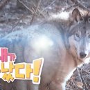 이든솔루션 이미지