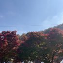 팔덕보건지소 이미지