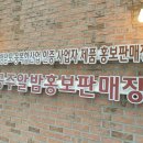 알밤홍보판매장 이미지